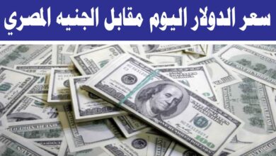 تحديث لحظي.. سعر الدولار اليوم الاثنين 26-1-2026 في البنك الأهلي مقابل الجنيه المصري للشراء والبيع