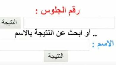 نتيجة سنوات النقل الابتدائية 2026 على الأبواب.. رابط بوابة التعليم الأساسي وخطوات الاستعلام السريع برقم الجلوس